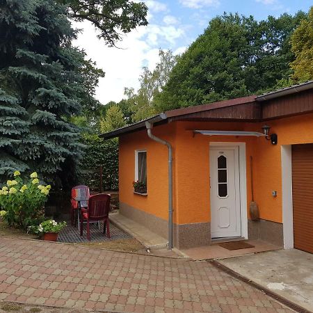 Ferienhaus Duebener Heide Bad Düben Exterior foto