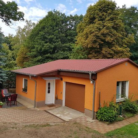 Ferienhaus Duebener Heide Bad Düben Exterior foto