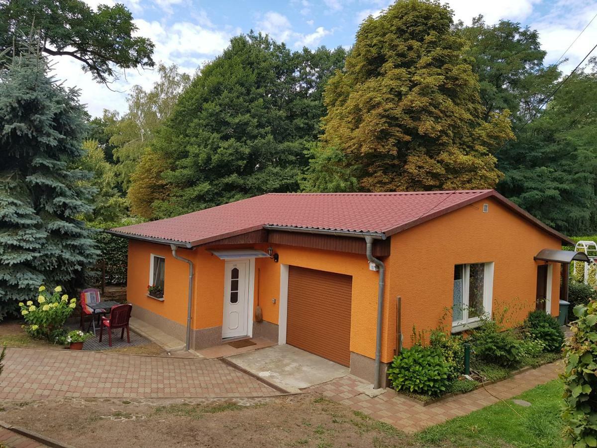 Ferienhaus Duebener Heide Bad Düben Exterior foto